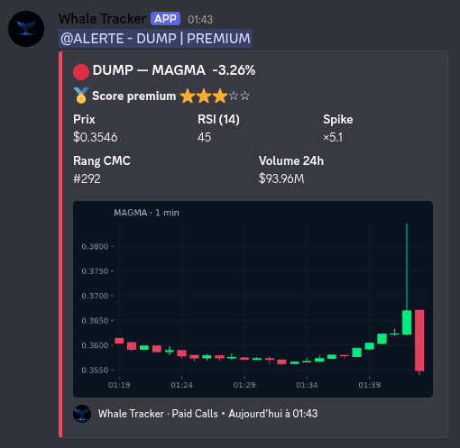 Premium — Discord · salon paid-calls